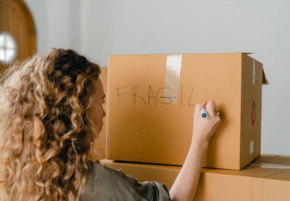 domain ownership transfer