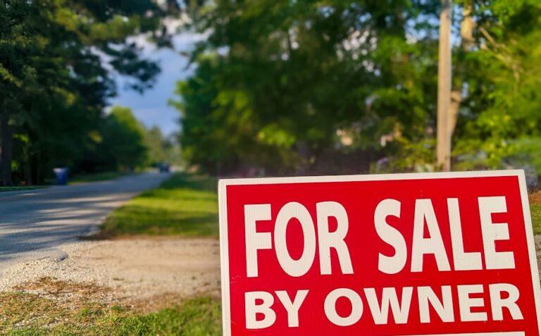 domain for sale listing